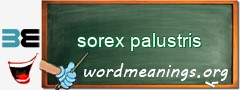 WordMeaning blackboard for sorex palustris